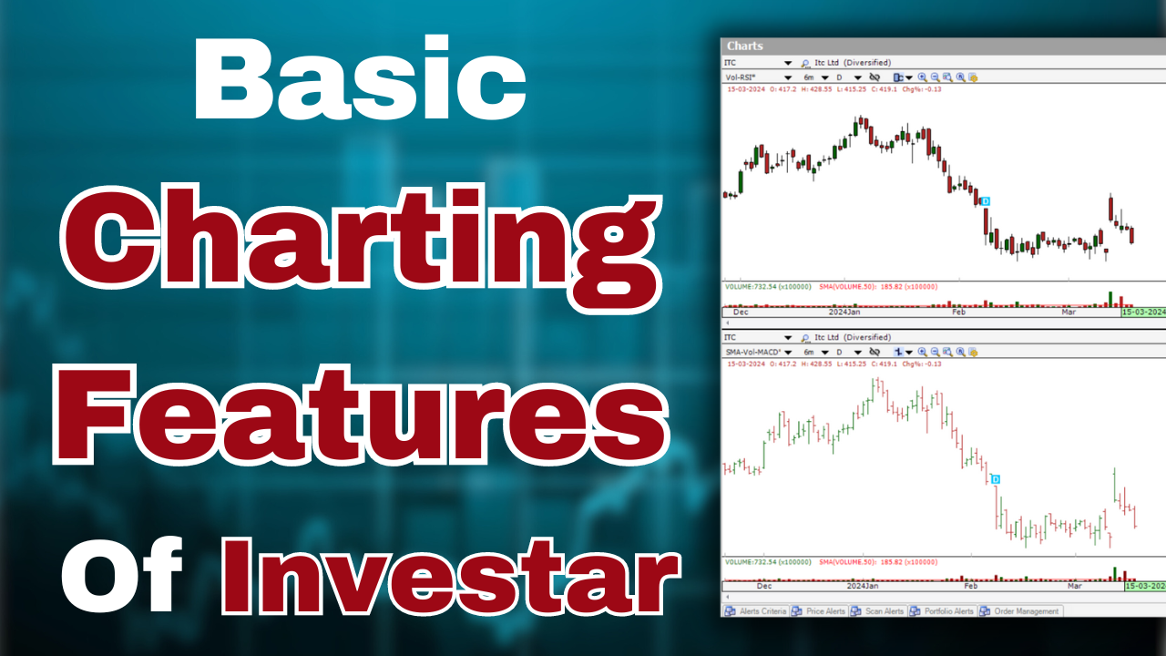 How to identify Multibaggers
