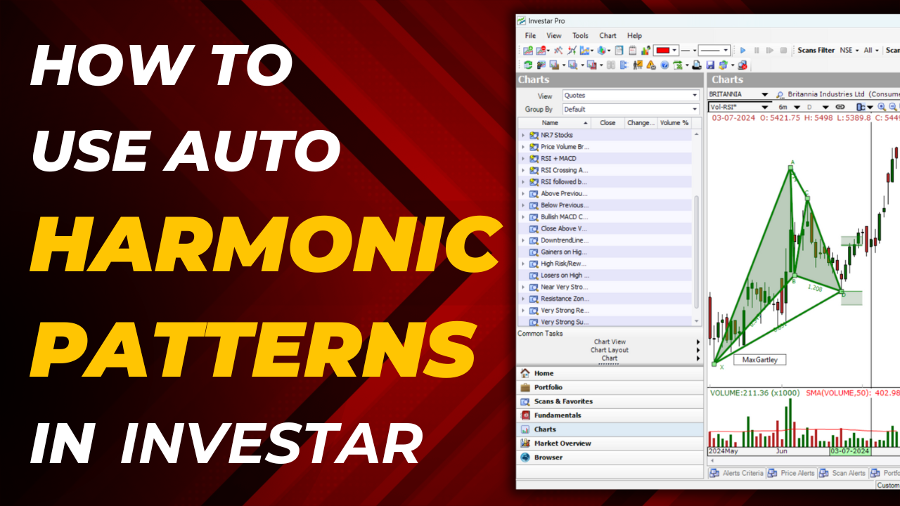 How to Use Auto Harmonic Patterns in Investar 